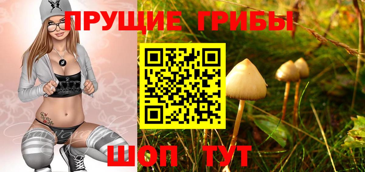Галлюциногенные грибы MAGIC MUSHROOMS Губаха